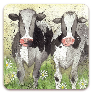 Curious Cows Coaster