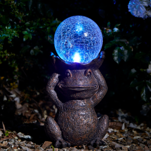 Gazing Frog LED