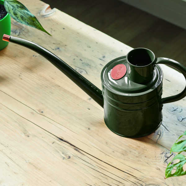 Home & Balcony Metal Watering Can