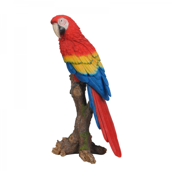 Red Macaw Perched