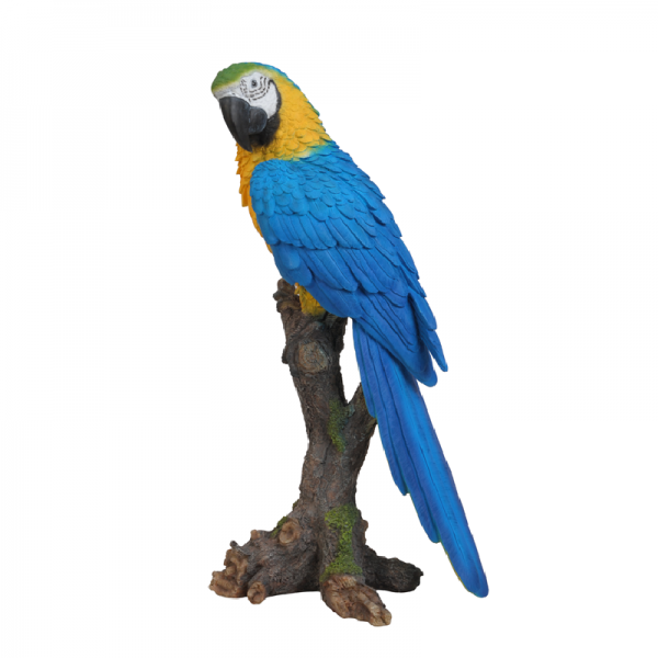 Yellow Macaw Perched