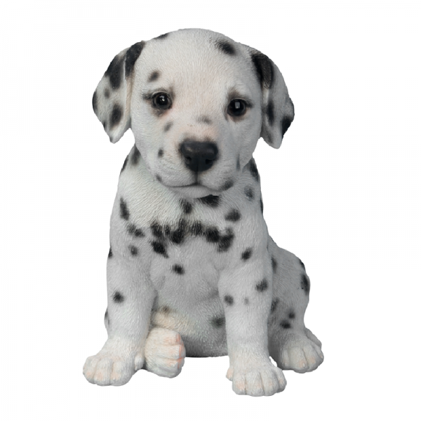 Pet Pal Dalmatian Puppy