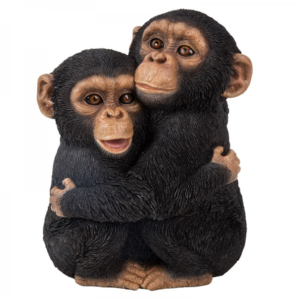 Real Life Hugging Chimps