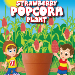 Strawberry Popcorn Plant