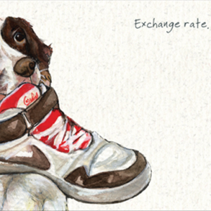 Exchange Rate Card
