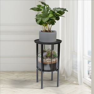 Terrarium and Plant Stand