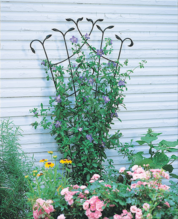 Forged Fan Trellis with Leaves