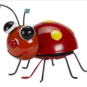 Large Loony Ladybug