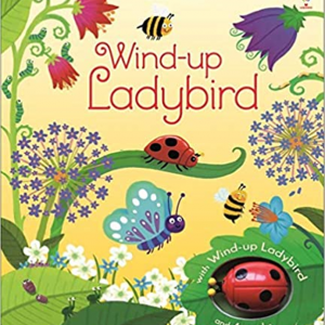 Wind Up Ladybird Book