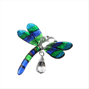 Glass Dragonfly Peacock