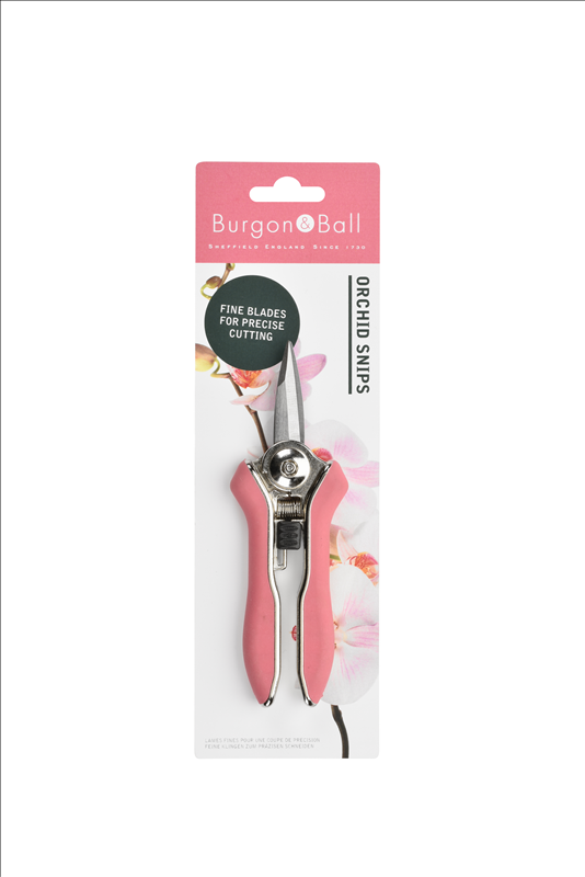 Orchid Snips