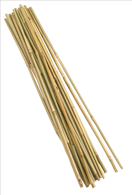 Bamboo Canes 120 cm (20)
