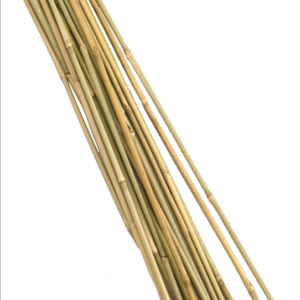 Bamboo Canes - 150 cm (20)
