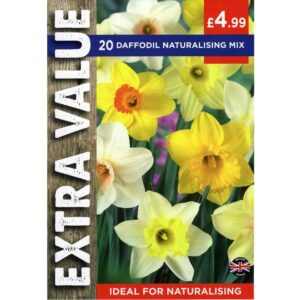 Narcissus Naturalising Mix 20 Bulbs