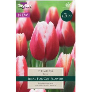 Tulip Timeless 7 Bulbs