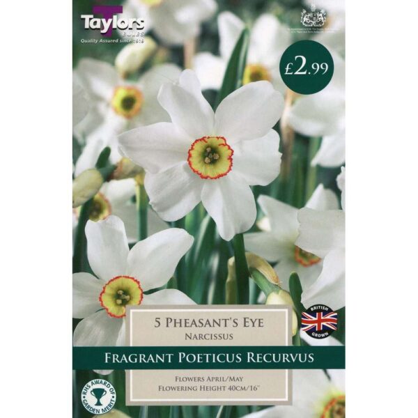 Narcissus Pheasant'S Eye 5 Bulbs