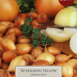 50 Onion Senshyu Yellow