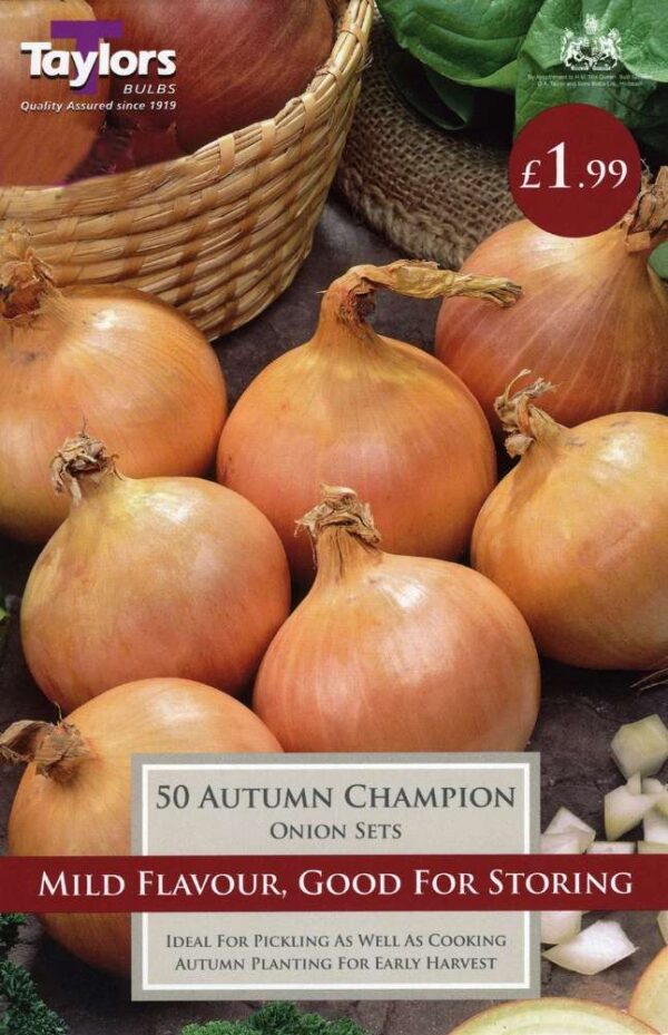 50 Onion Autumn Champion