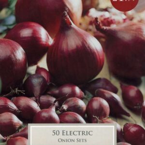 50 Onion Electric