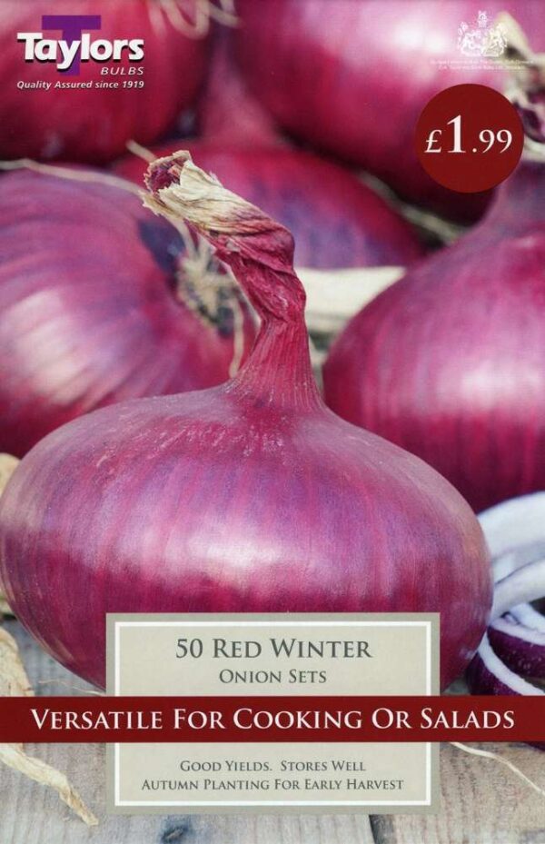 50 Onion Red Winter