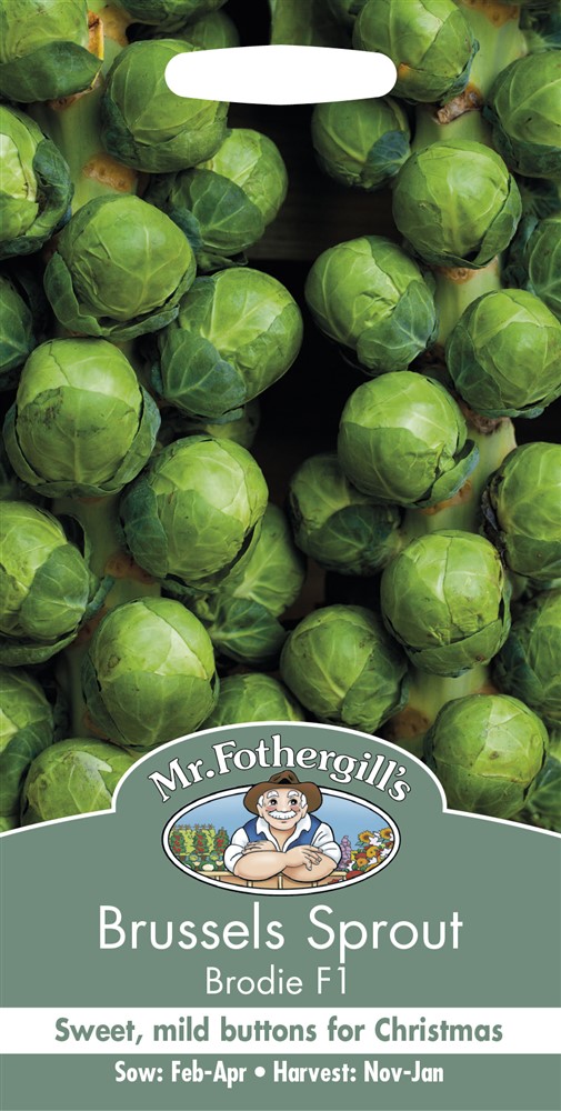 Brussels Sprout Brodie