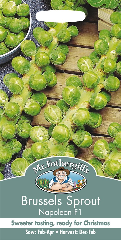 Brussels Sprout Napoleon