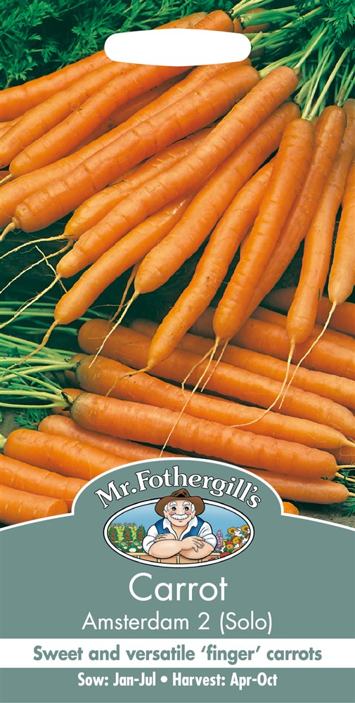 Carrot Amsterdam 2 Solo