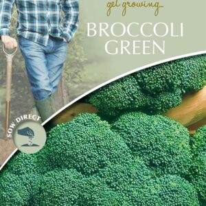DD Broccoli Green