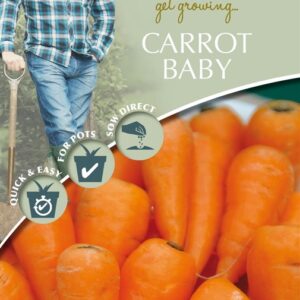 DD Carrot Baby