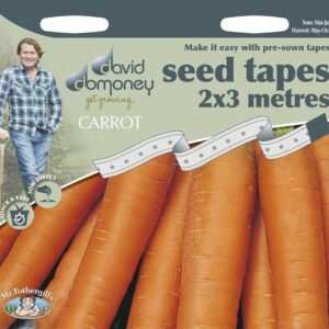 DD Tape Carrot Nantes