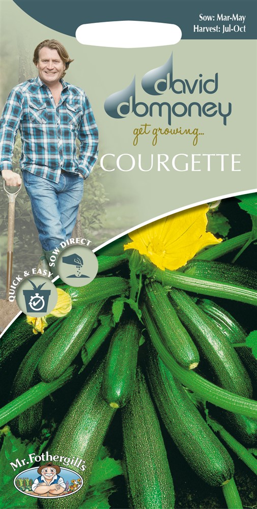 DD Courgette