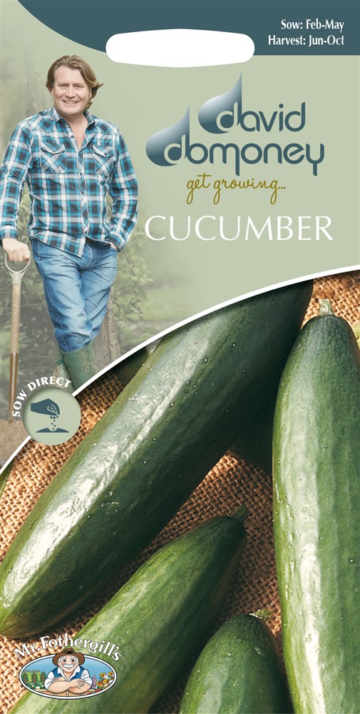 DD Cucumber