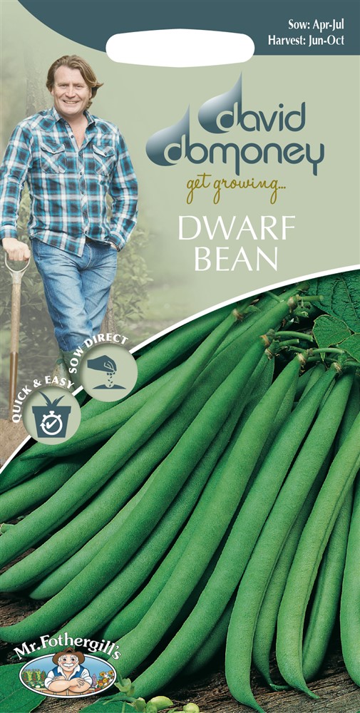 DD Dwarf Bean