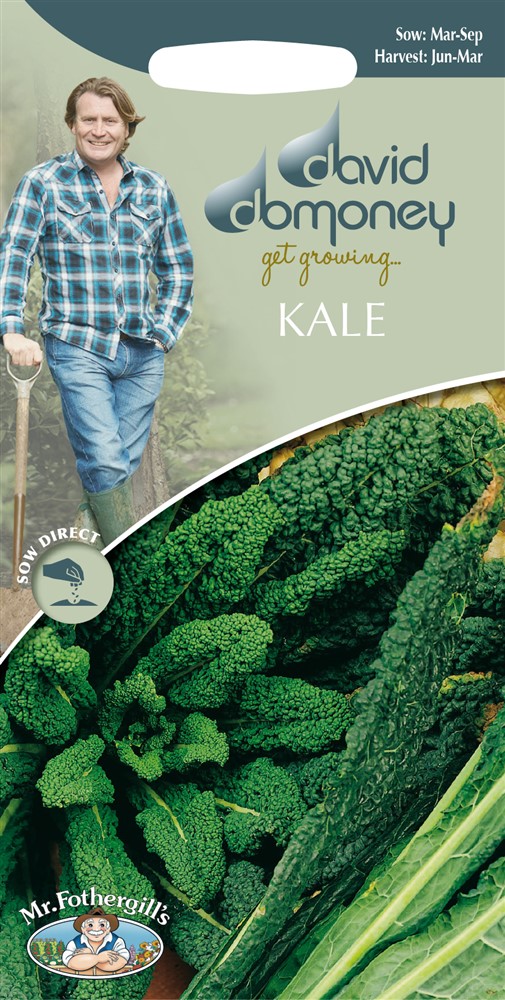 DD Kale