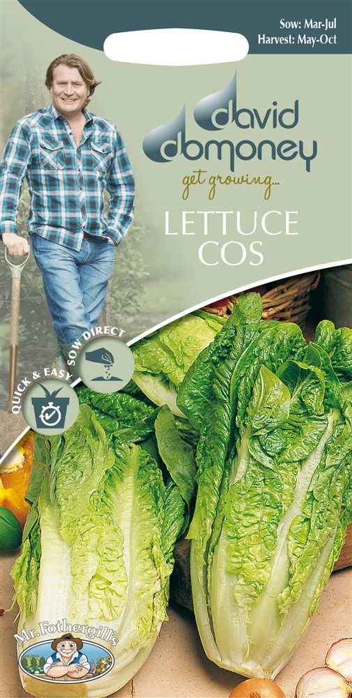 DD Lettuce Cos