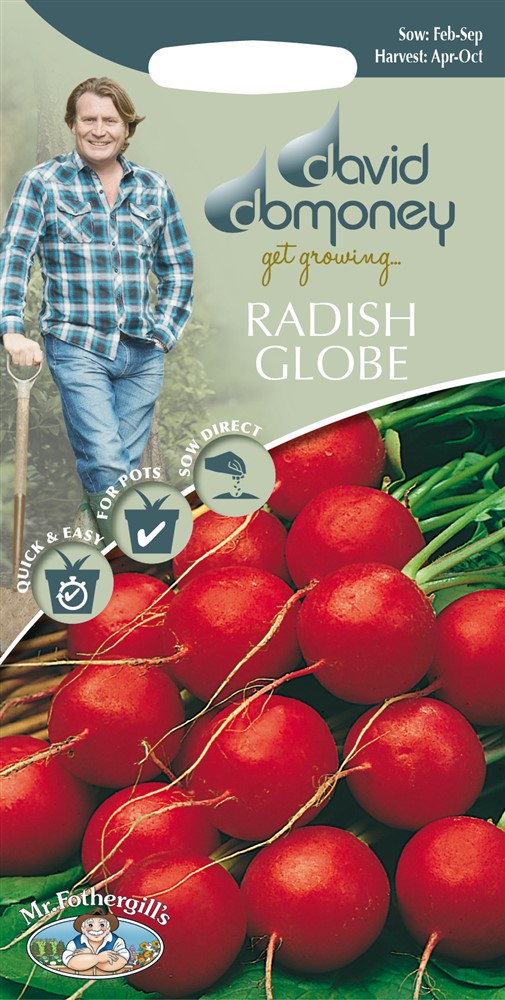 DD Radish Globe