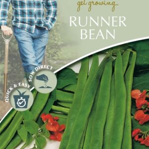 DD Runner Bean
