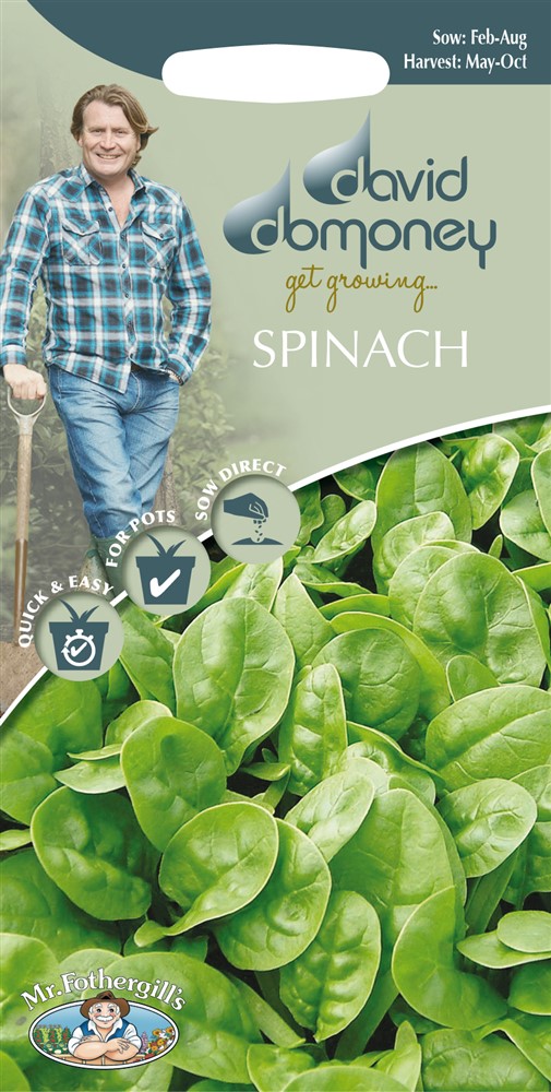 DD Spinach