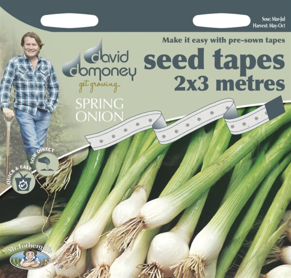 DD Tape Spring Onion Whi