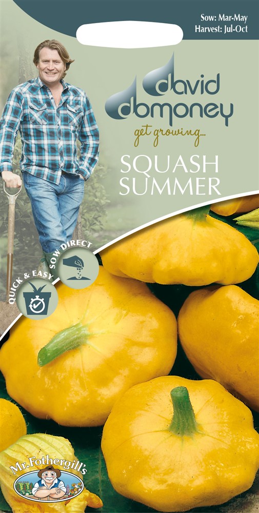 DD Squash Summer