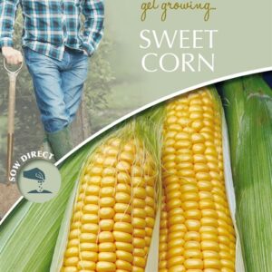 DD Sweet Corn