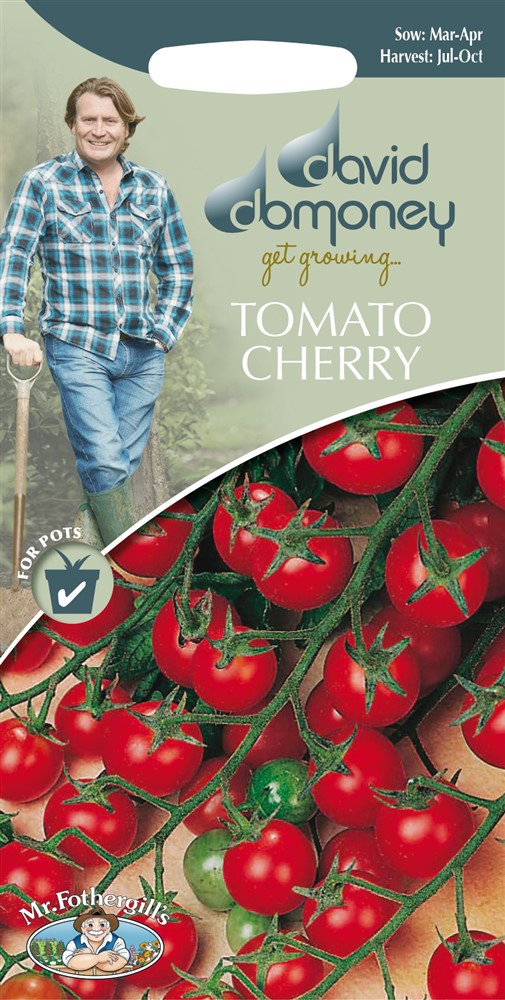 DD Tomato Cherry