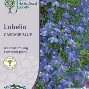 RHS Lobelia Cascade Blue