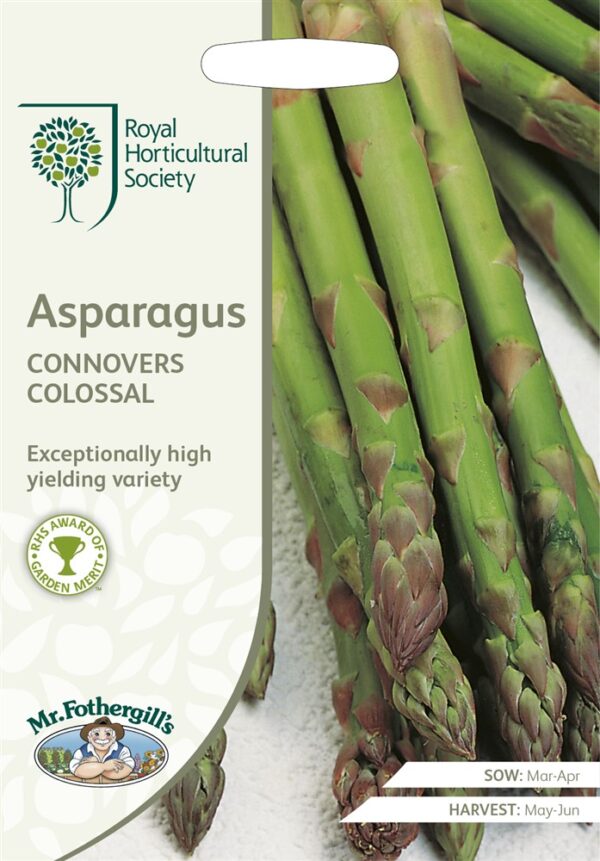 RHS Asparagus Connover's