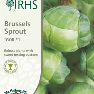 RHS Brussel Sprout Igor