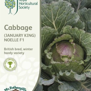 RHS Cabbage January