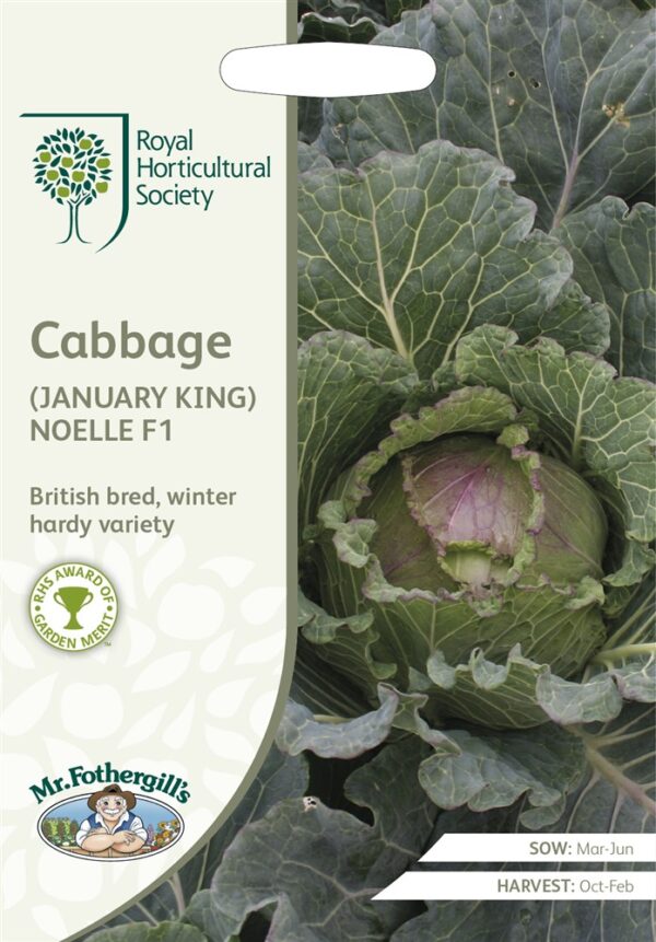 RHS Cabbage January
