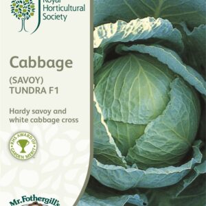 RHS Cabbage Savoy Tund