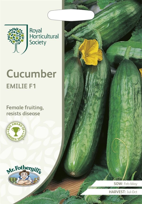 RHS Cucumber Emilie F1