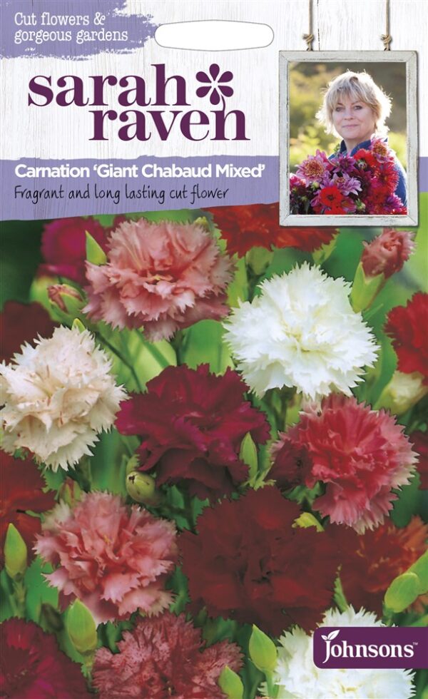 SR Carnation Giant Chaubaud